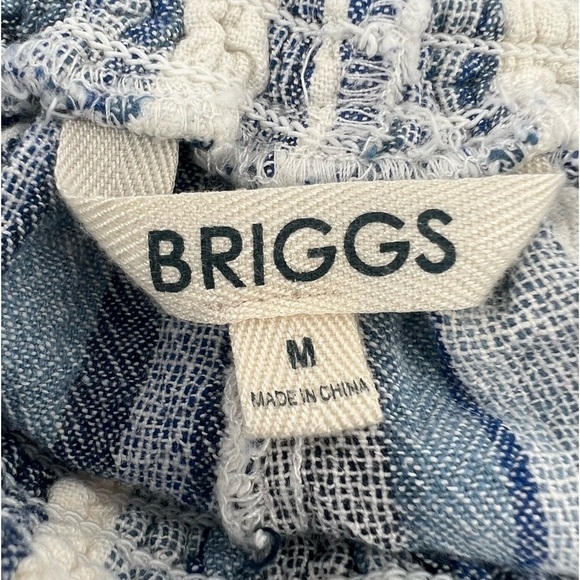 Briggs Blue Striped Paper Bag Linen Shorts Size Medium Women’s - Picture 2 of 5